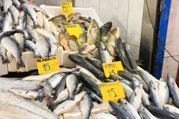 Foto - Balıklar, tezgahları şenlendirdi