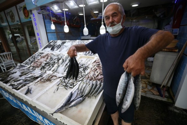 Foto - Balıklar, tezgahları şenlendirdi