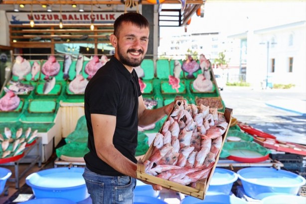 Foto - Balıklar, tezgahları şenlendirdi