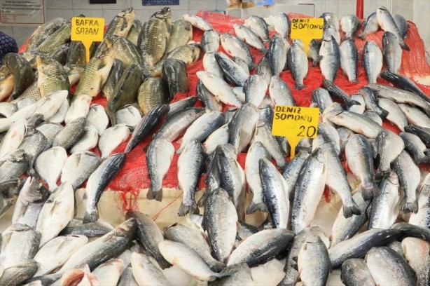 Foto - Balıklar, tezgahları şenlendirdi
