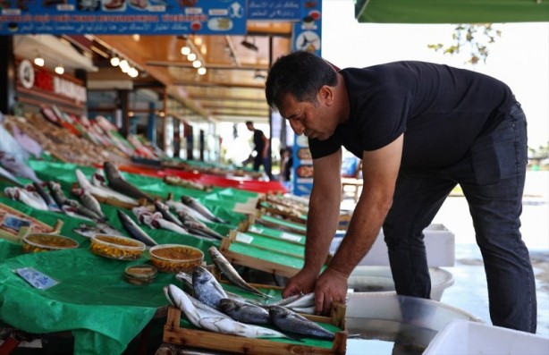 Foto - Balıklar, tezgahları şenlendirdi