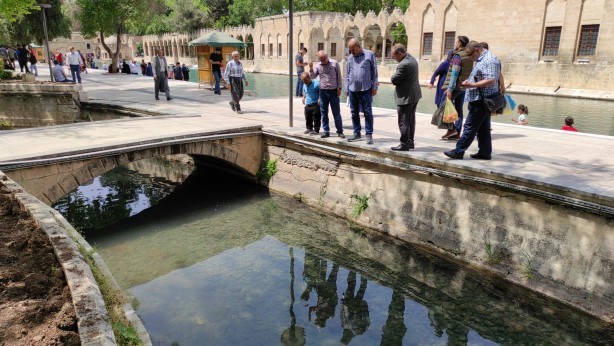 Balıklıgöl'de endişelendiren görüntü