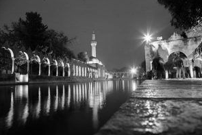 Foto - Depremde kaybolan Balıklıgöl'deki balıklarla ilgili şok rivayet! Dokunanların başına bakın ne geliyor