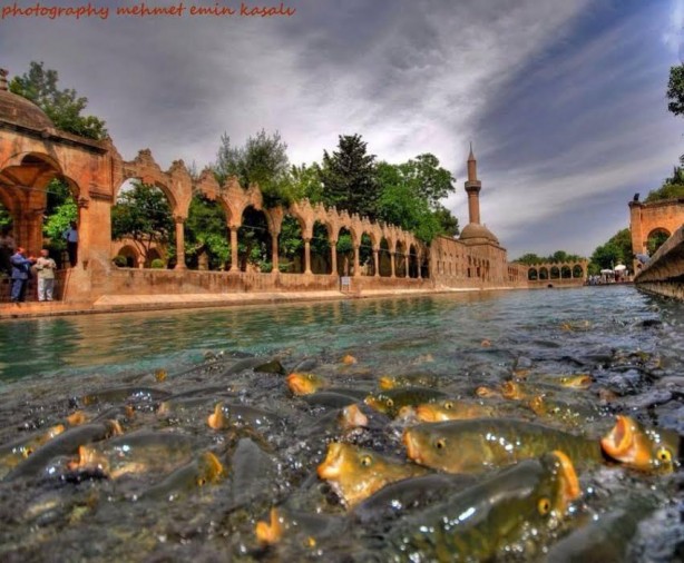 Foto - Depremde kaybolan Balıklıgöl'deki balıklarla ilgili şok rivayet! Dokunanların başına bakın ne geliyor