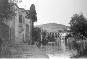 Foto - Depremde kaybolan Balıklıgöl'deki balıklarla ilgili şok rivayet! Dokunanların başına bakın ne geliyor