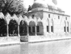 Foto - Depremde kaybolan Balıklıgöl'deki balıklarla ilgili şok rivayet! Dokunanların başına bakın ne geliyor