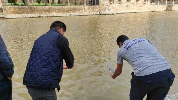 Foto - Balıklıgöl'ün suyu yavaş yavaş berraklaşıyor