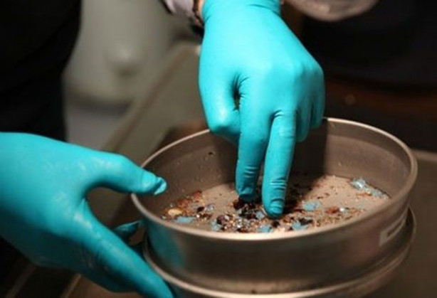 Foto - Balinanın midesinden çıkanlar hayrete düşürdü!