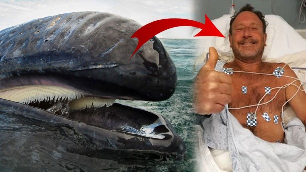 Balinanın yediği adam kurtulmayı başardı! O korkunç anlar ortaya çıktı