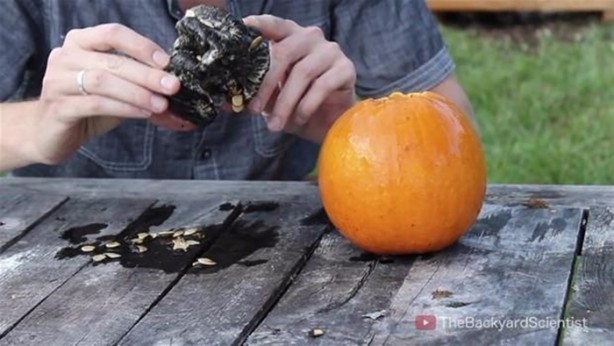 Foto - Balkabağına erimiş alüminyum döktüler!