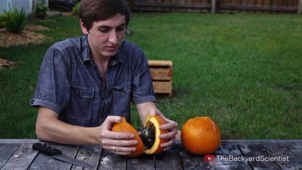 Foto - Balkabağına erimiş alüminyum döktüler!