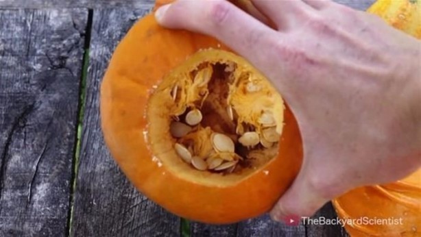 Foto - Balkabağına erimiş alüminyum döktüler!