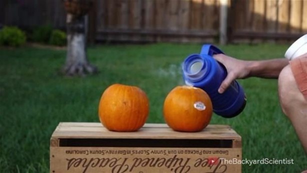 Balkabağına erimiş alüminyum döktüler!