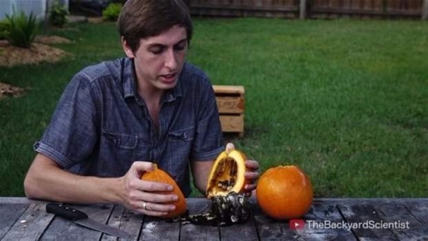 Foto - Balkabağına erimiş alüminyum döktüler!