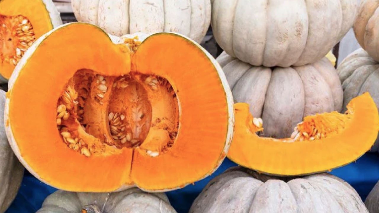 Bal kabağını sofralarınıza konuk edin! Faydasını duyan hemen almaya gidiyor... 