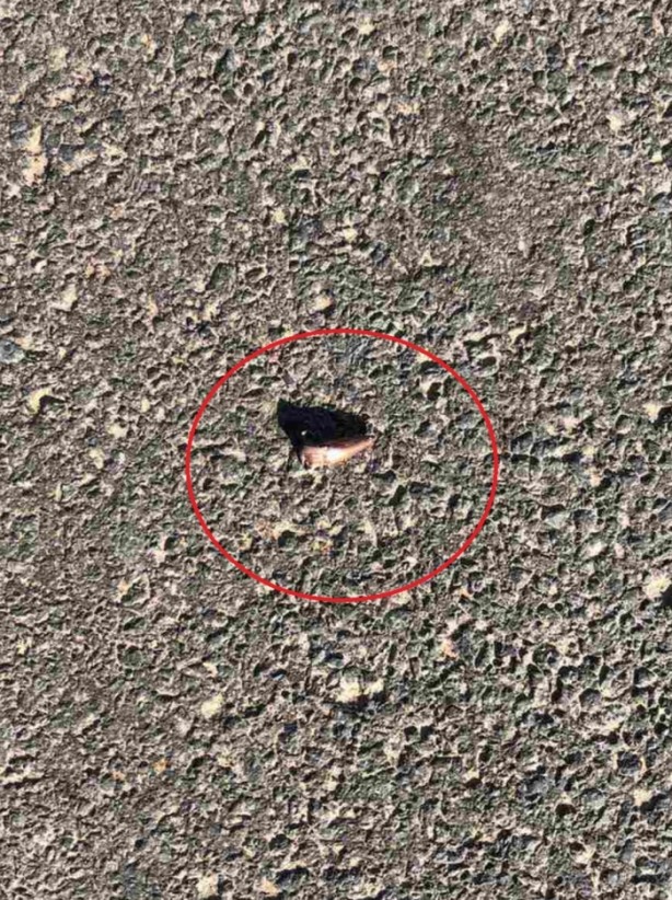 Foto - Balkanlarda gerilim! Sınır yakınlarında polise saldırı