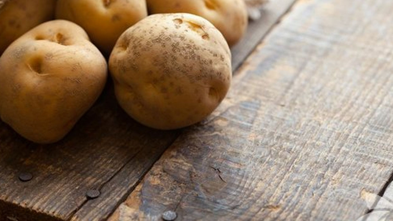 Foto - Bu bitkileri herkes evinde yetiştiriyor!