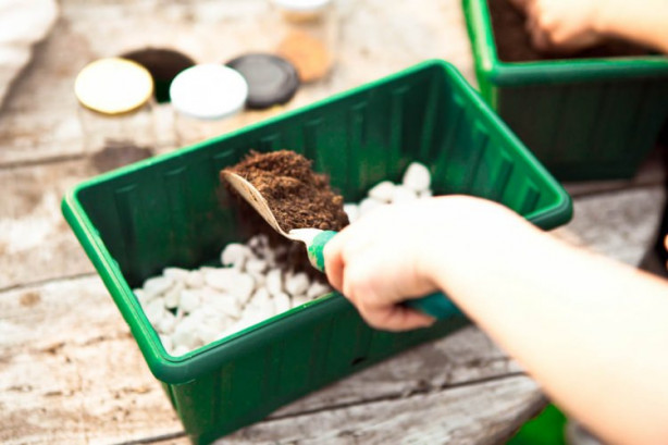 Foto - Balkonunuzda meyve ve sebze yetiştirebilirsiniz! İşte püf noktalar...