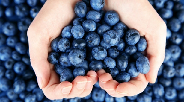 Balkonunuzda yaban mersini yetiştirebilirsiniz! İşte püf noktalar...