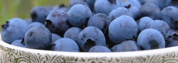 Foto - Balkonunuzda yaban mersini yetiştirebilirsiniz! İşte püf noktalar...