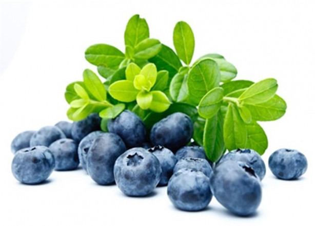 Foto - Balkonunuzda yaban mersini yetiştirebilirsiniz! İşte püf noktalar...