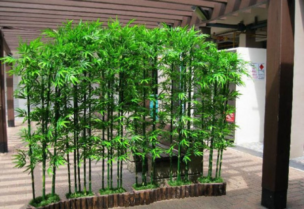 Foto - Bambu dekorasyonu şıklığı