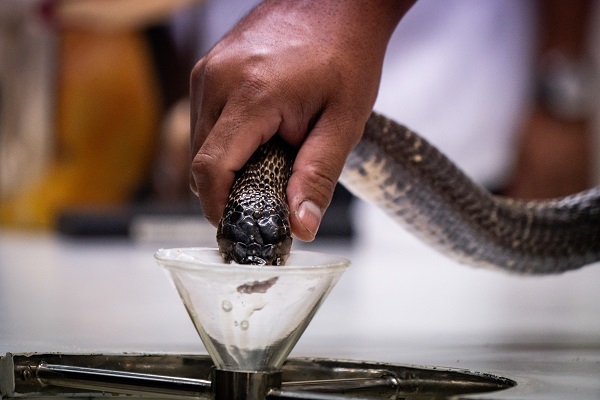 Foto - Bildiğiniz tüm müzeleri unutun