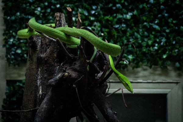 Foto - Bildiğiniz tüm müzeleri unutun