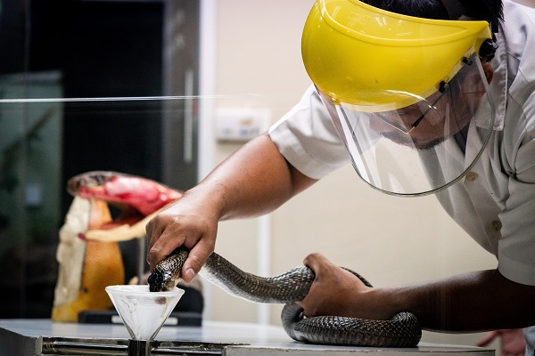 Foto - Bildiğiniz tüm müzeleri unutun