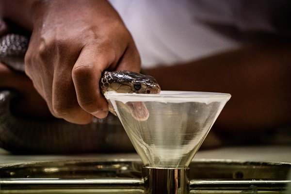 Foto - Bildiğiniz tüm müzeleri unutun