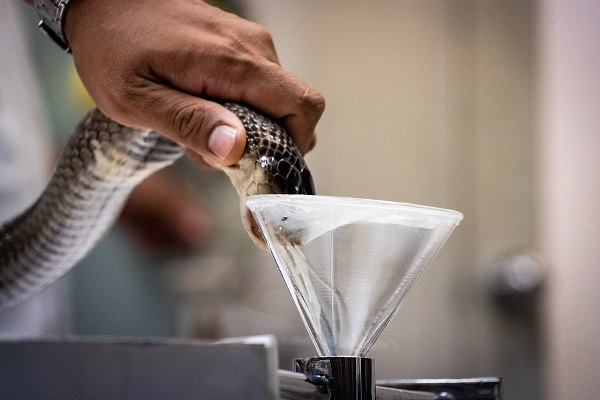 Foto - Bildiğiniz tüm müzeleri unutun