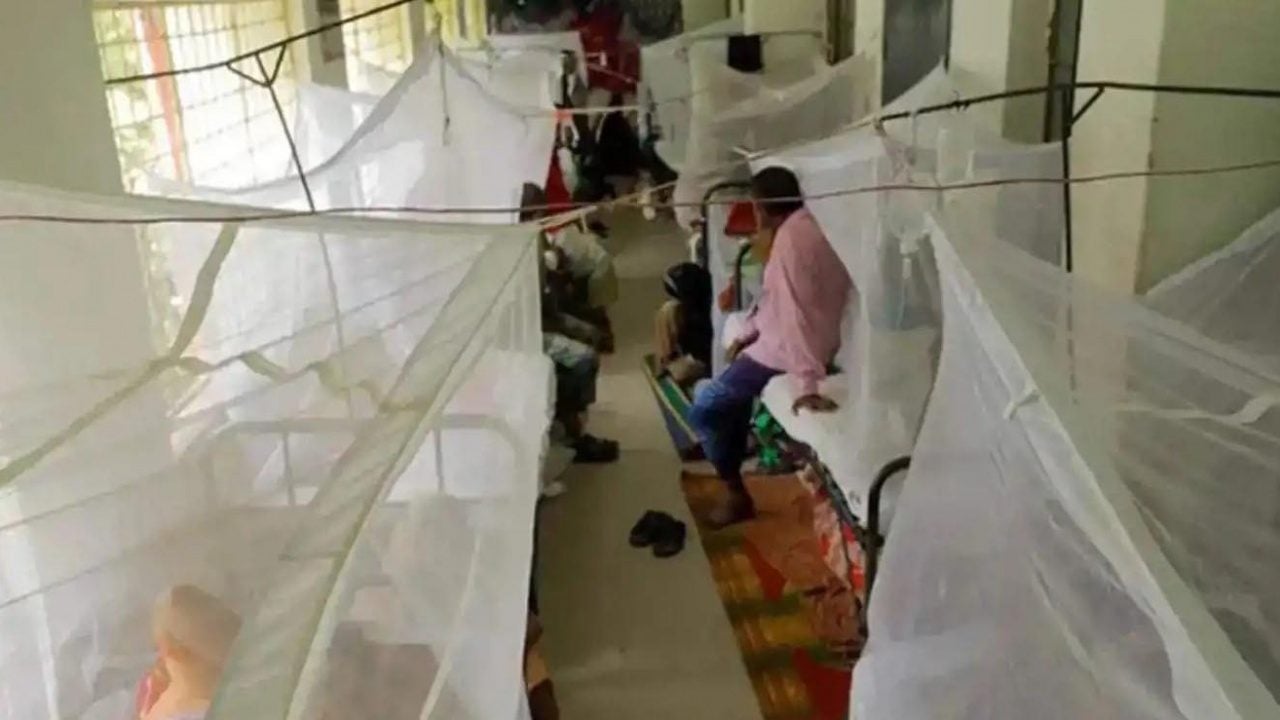 Foto - Bangladeş'te dang humması salgını: Can kaybı 364'e yükseldi 