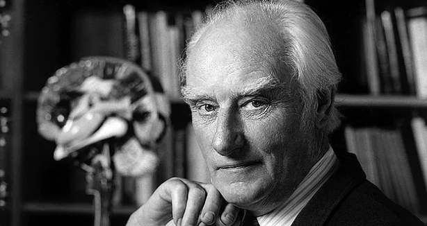 Foto - Banka kasasındaki belgelerde ortaya çıktı: Kız Kulesi'nin hemen altında var