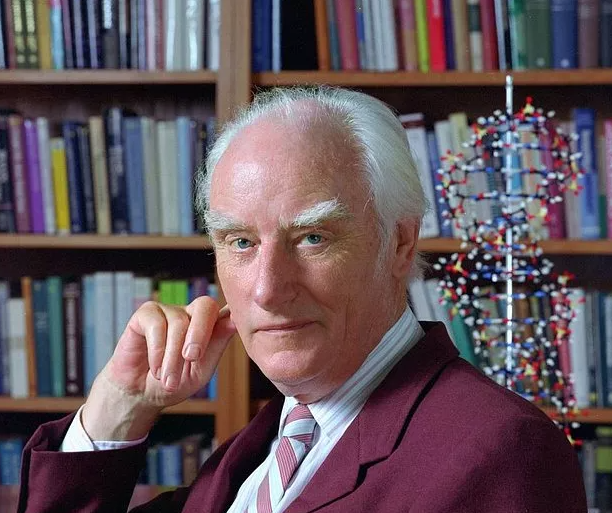 Foto - Banka kasasındaki belgelerde ortaya çıktı: Kız Kulesi'nin hemen altında var