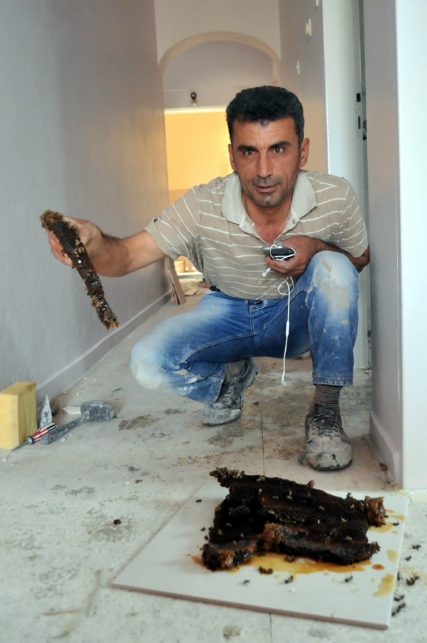 Foto - Banyo duvarının içinden çıkana çok şaşıracaksınız