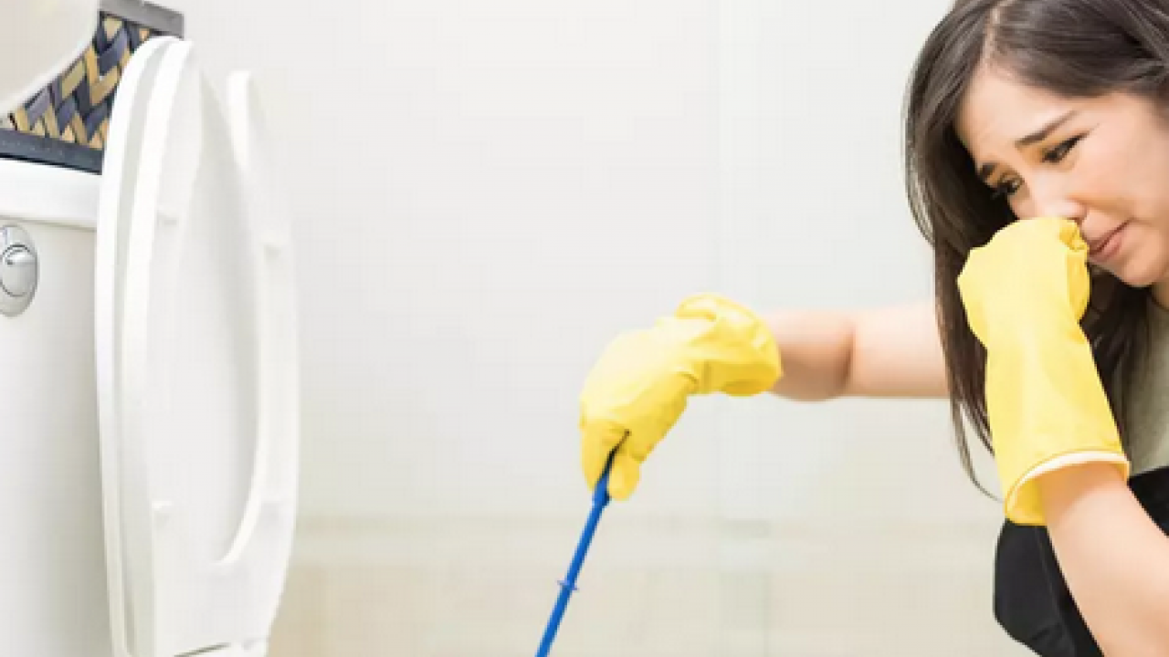 Foto - Banyodaki kötü kokuya kimsenin bilmediği çözüm işte bu: Çiçek gibi kokutan formül