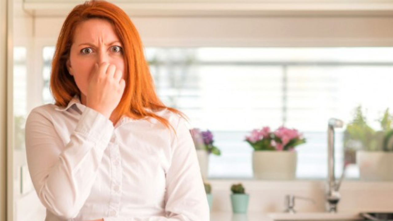 Foto - Banyodaki kötü kokuya kimsenin bilmediği çözüm işte bu: Çiçek gibi kokutan formül