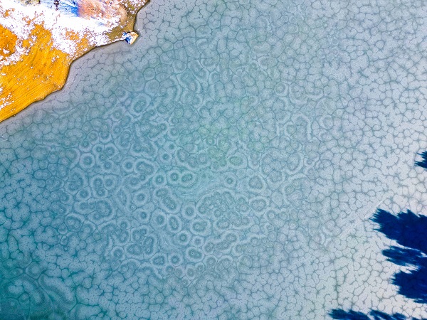 Foto - Baraj buz tuttu! Bu görüntü oluştu