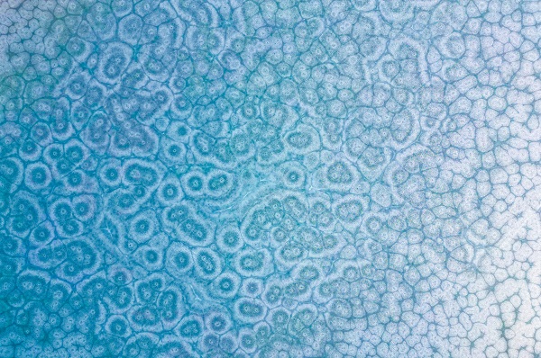 Baraj buz tuttu! Bu görüntü oluştu