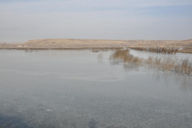 Baraj gölü buz kesti
