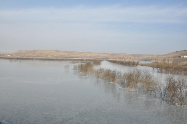 Foto - Baraj gölü buz kesti