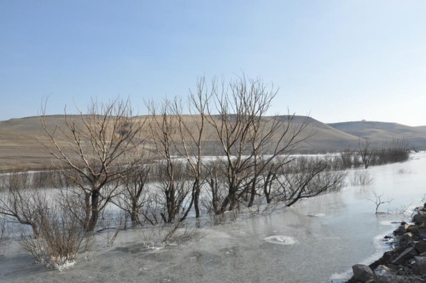 Foto - Baraj gölü buz kesti