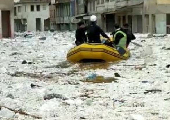 Baraj suları her yeri kapladı! Mahsur kalan sokak hayvanları böyle kurtarıldı