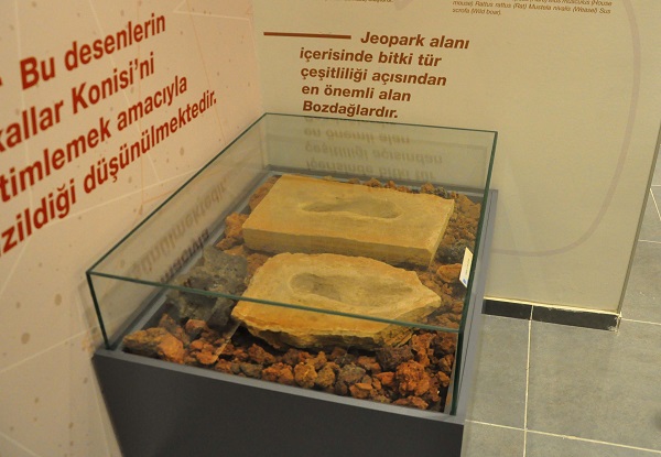 Foto - Baraj yapımında keşfedildi! O müzede sergileniyor