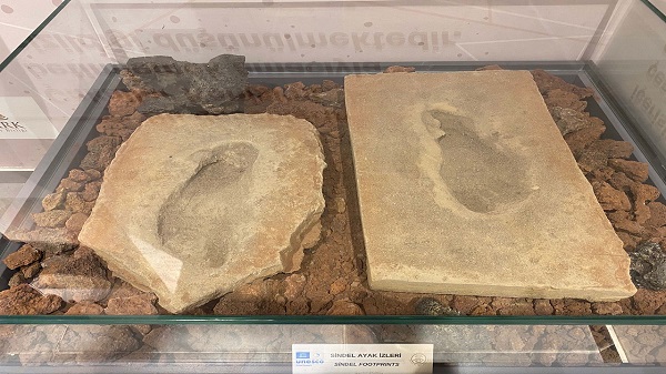 Baraj yapımında keşfedildi! O müzede sergileniyor