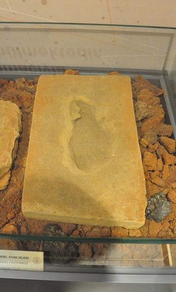 Foto - Baraj yapımında keşfedildi! O müzede sergileniyor