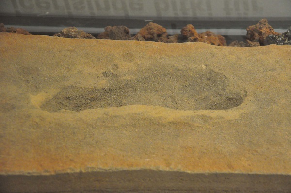 Foto - Baraj yapımında keşfedildi! O müzede sergileniyor