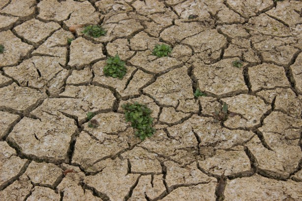 Foto - Barajlar alarm veriyor! İstanbul'da endişelendiren görüntü
