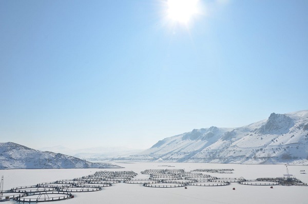 Foto - Barajlar soğuktan dondu kaldı