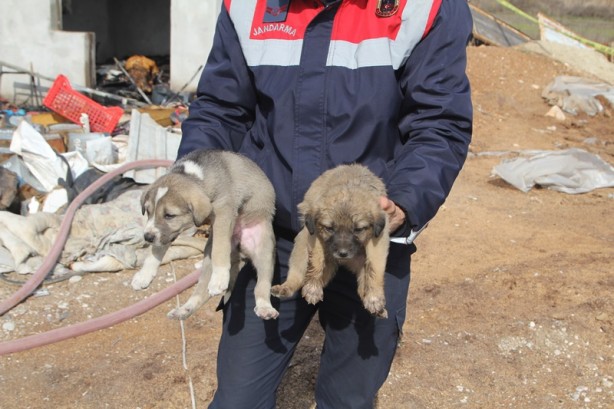 Foto - Barakada yangın! Emekli öğretmen hayatını kaybetti